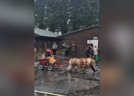 Pony wózek typu 122  
Waga: 88 kg  
Szerokość toru: 90 cm  
Koła: 12" x 12"