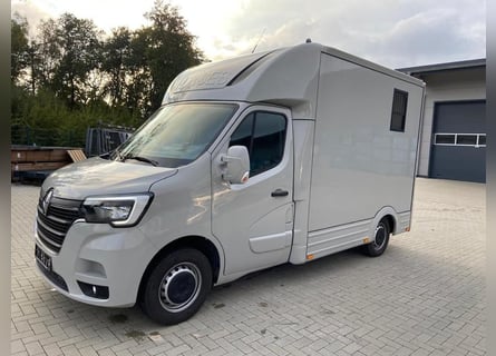 Transporter for horses: Renault Master 2024