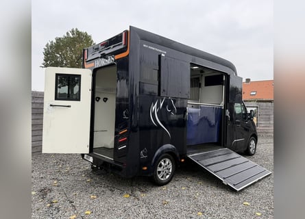 Przewoźnik koni Renault Primero