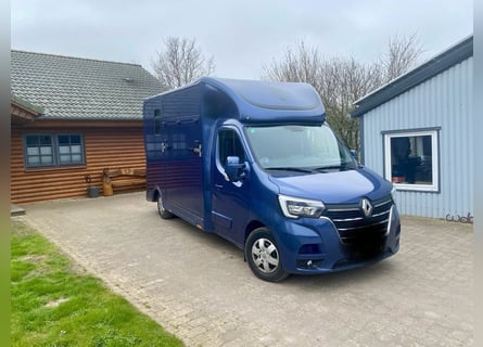 Renault Master Zwei-Pferdetransporter