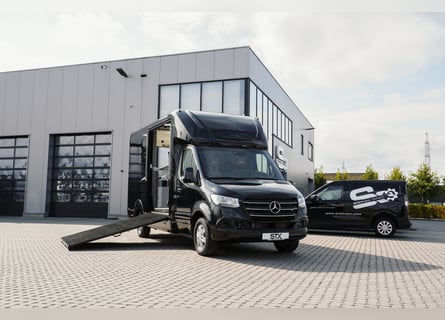 STX 2 Horses – Ekskluzywny Mercedes Sprinter