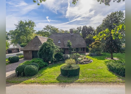 Amazing location for horselovers