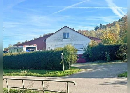 Baden Württemberg, Landkreis Heilbronn - Reitanlage zu verkaufen!