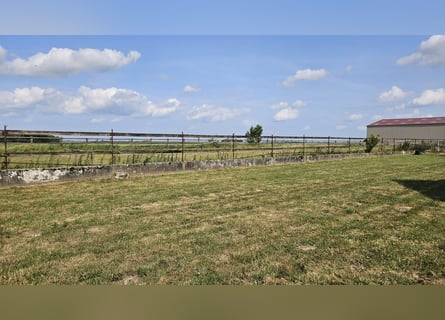 Ecurie de valorisation 