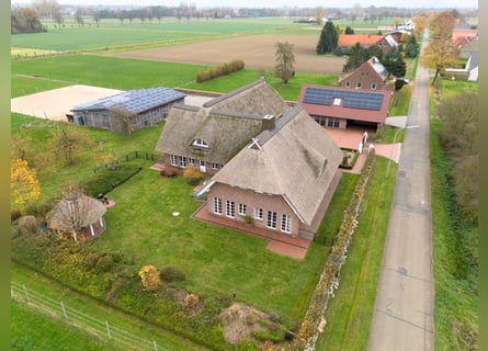 Ekskluzywna posiadłość o powierzchni użytkowej około 460 m², stajnie, plac do jazdy konnej, budynki 