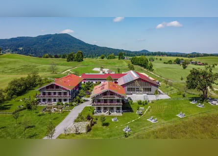 Excellentes Reitanwesen. Moderner Landsitz mit malerischem Charakter.