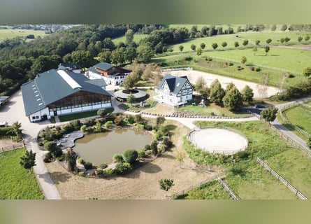 Exklusives Anwesen, Reitanlage mit kleiner Pension im Lahn-Dill-Kreis