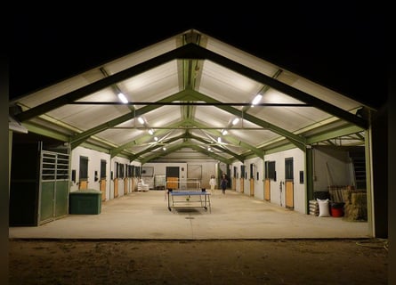 Hipica En Toledo – Equipada Para Doma Y Cría