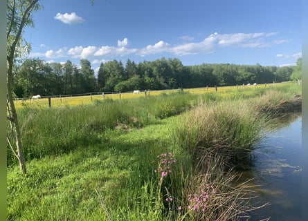 Historischer paradiesischer Pferdehof 40 Min. von der Schweiz 