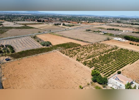 MALLORCA Felanitx: Baugrundstück mit Baulizenz und Blick auf den Sant Salvador
