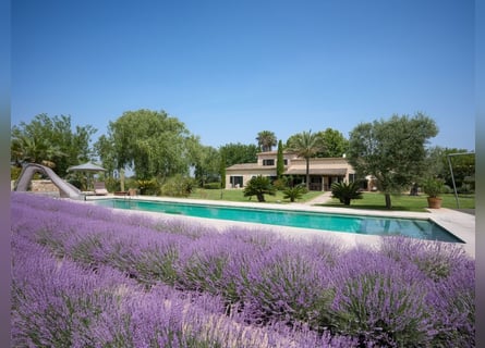 Mallorca - Finca mit Möglichkeit zur Pferdehaltung und tollem Ausreitgebiet