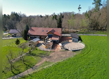 Pferderanch in Alterswil, Kanton Freiburg, Schweiz
