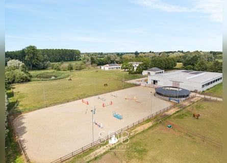 Prachtige villa met hippische accommodatie en graslanden op +/- 23hectare - 9800 DEINZE