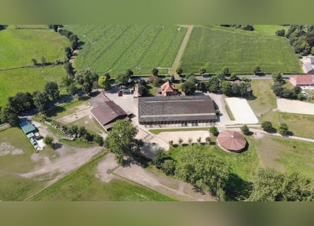 Prämierte und topgepflegte Reitsportanlage mit guter Anbindung in Riede!