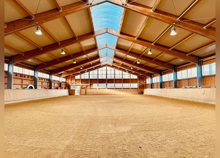 Professionelle Reitanlage im Großraum Metzingen