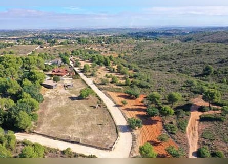 Ref2531 Spanien, Valencia, Monserrat - Finca mit Pferdestall zu verkaufen!