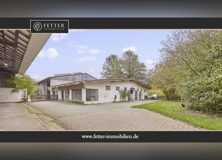 Reitanlage an der Bergstraße: Romantisches Holzhaus & ländliche Ruhe in Lorsch
