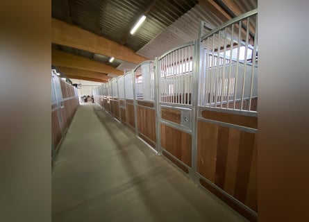 Reithalle mit 21 Boxen bei  Bremervörde