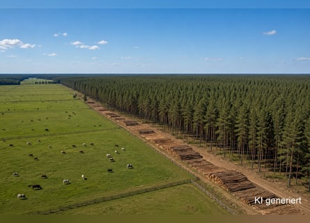 Stajnia jeździecka na 150 hektarach łąk i lasów, w tym własny obwód łowiecki!