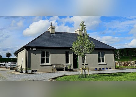 Traumhafter Bungalow mit Stall für Pferdeliebhaber