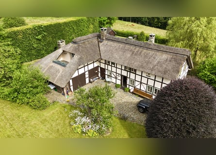 Zeitreise im Grünen: Historisches Bauernhaus mit Reetdach und kleinem Pferdestall in Monschau-Widdau