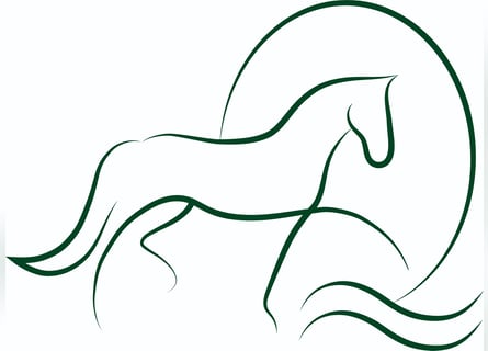 Stallmitarbeiter für kleinen privaten Sportpferdestall gesucht