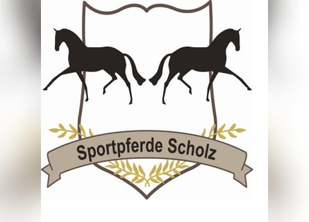 Vollzeitstelle in unserem jungen Team