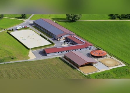 Mithilfe bei kleinem Sportpferdebestand gesucht!