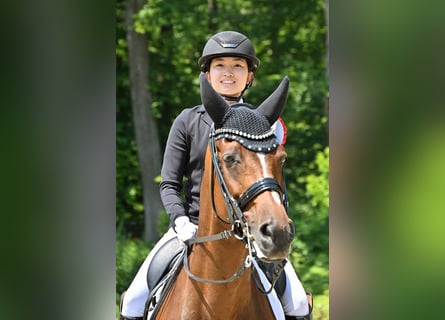 Pferdepfleger-/in (Vollzeit) gesucht