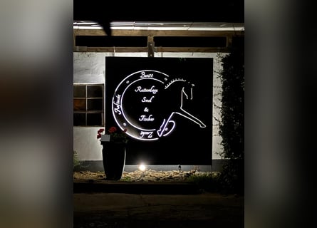 Stallhilfe / Pferdepfleger / Stallmanagement (m/w/d)