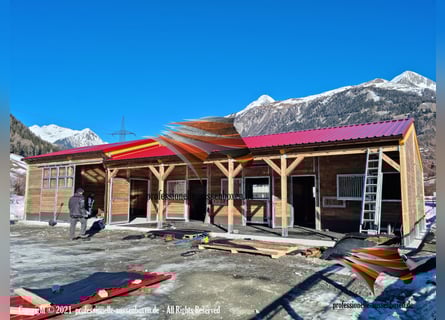 Stallungen TOP Aussenboxen, Pferdestall & Pferdebox, Offenstall, Weidehütte, Unterstand & Laufstall