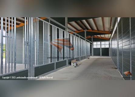 Futterraufen & Heuraufe für Pferde - stabile Pferderaufen und Fressgitter | ACTIVE Pferde