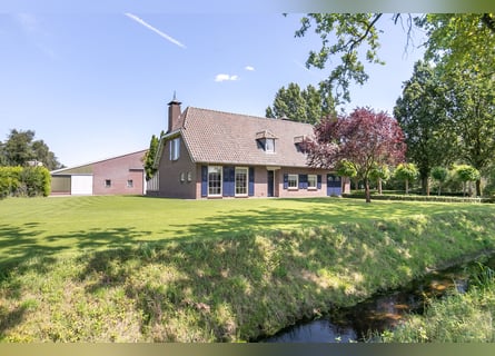 Detached house with riding hall behind, a half-hour drive from Equestrian Centre de Peelbergen!