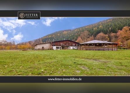 Kompakte Reitanlage im Schwarzwald mit gewerblicher Pferdehaltung!