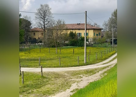 Reiterhof im Naturschutzgebiet bei Bologna mit Potenzial