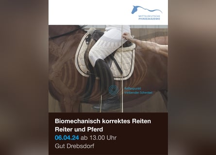 Biomechanisch korrektes Reiten