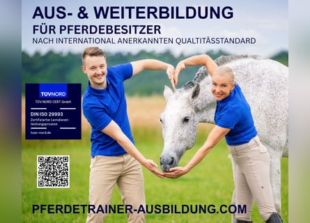 ISO-zertifizierte Pferdetrainerausbildung – Pferdetrainerin werden auf höchsten Niveau