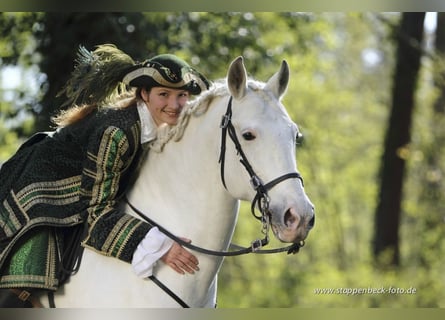Theoretischer Vortrag mit Dr. Diana Krischke über gesundes Reiten