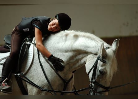 Reitunterricht für Erwachsen, Kinder und Jugendliche