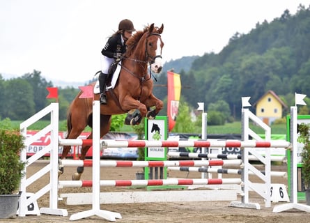 Beritt/Unterricht
