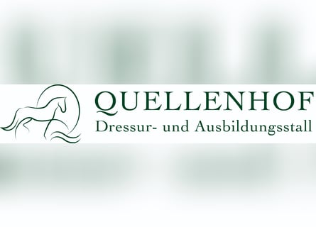Vollberitt Dressur/  Anreiten - S***