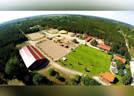  Ihr Anteil am Paradies – El Bronco Ranch, Ungarn   