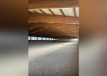 Wolne boksy w naszym ośrodku jeździeckim w Metzenhof!