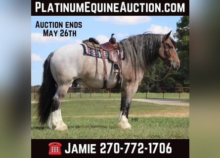 Percheron, Gelding, 10 years, 17,1 hh, Roan-Bay