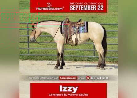 Percheron Mix, Merrie, 4 Jaar, 160 cm, Roan-Bay
