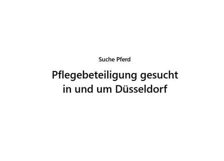Pflegebeteiligung zum Einstieg in das Pferdewesen