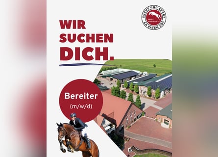 Team Sosath sucht Bereiter/in zur Verstärkung