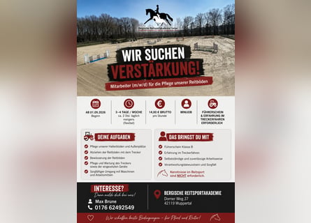 🚜 Lavoro part-time a Wuppertal – Cercasi collaboratore/trice (m/f/d) per la manutenzione delle nost