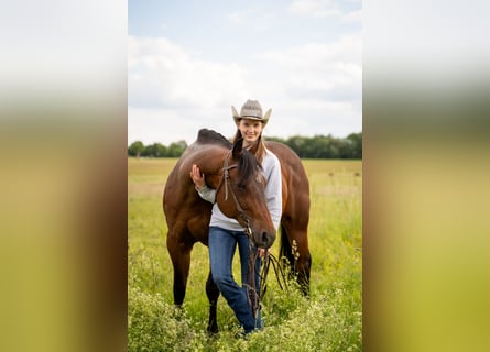 Westerntrainer Assistent - Reining 