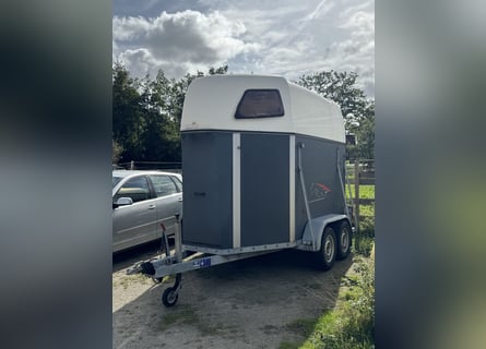 Bellissimo trailer